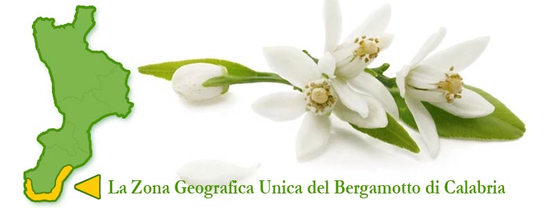 bergamottozona-geografica-unica.jpg