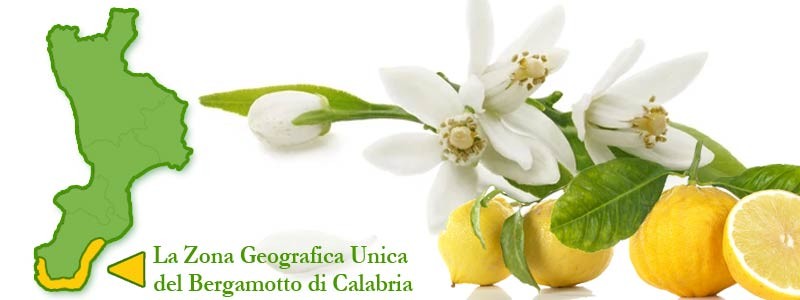 L'oro verde di Calabria